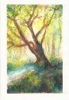 Starý strom 15x21 akvarel na papíře 2018